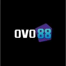 ovo88 kastoto